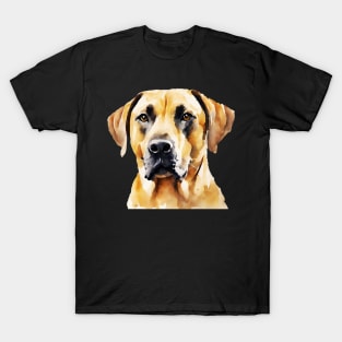 Watercolor Black Mouth Cur Face T-Shirt